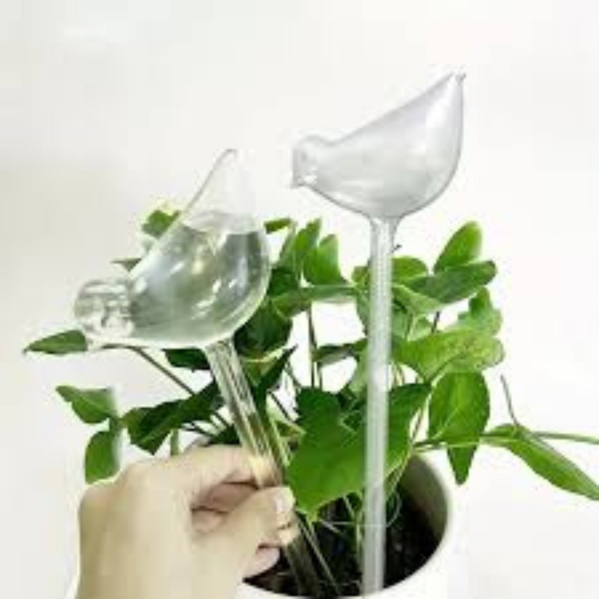 AUTORIEGOS DE PLÁSTICO PARA PLANTAS