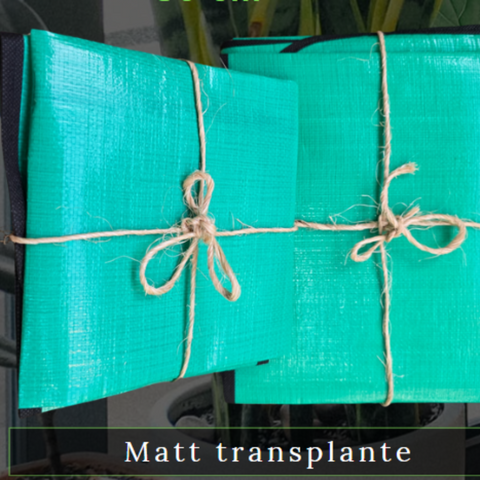 MATT DE TRANSPLANTE